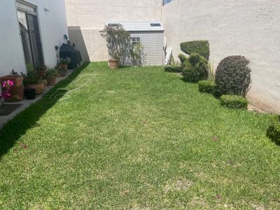 Imagen 5